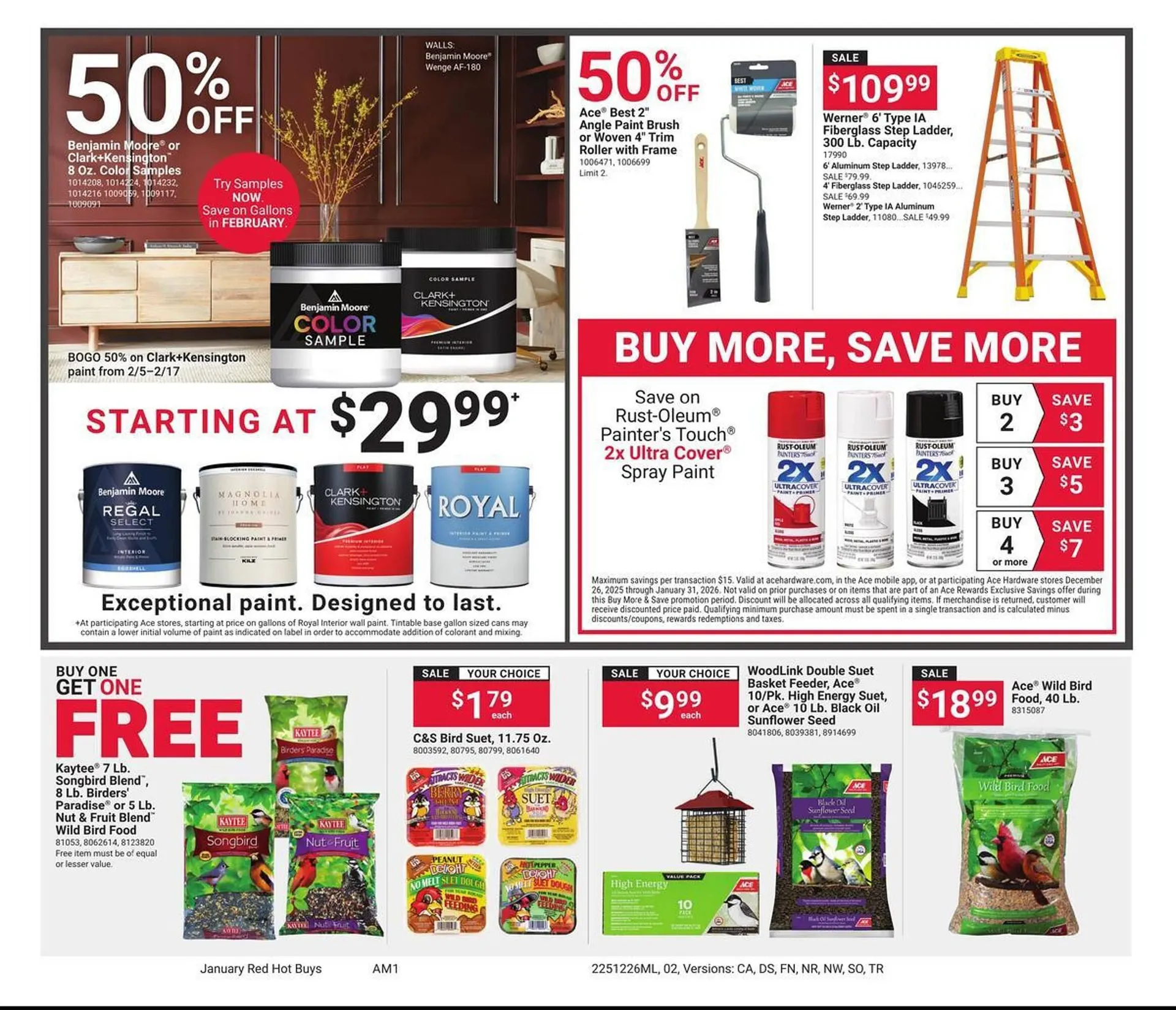 Weekly ad Ace Hardware flyer from December 26 to January 31 2026 - Page 2