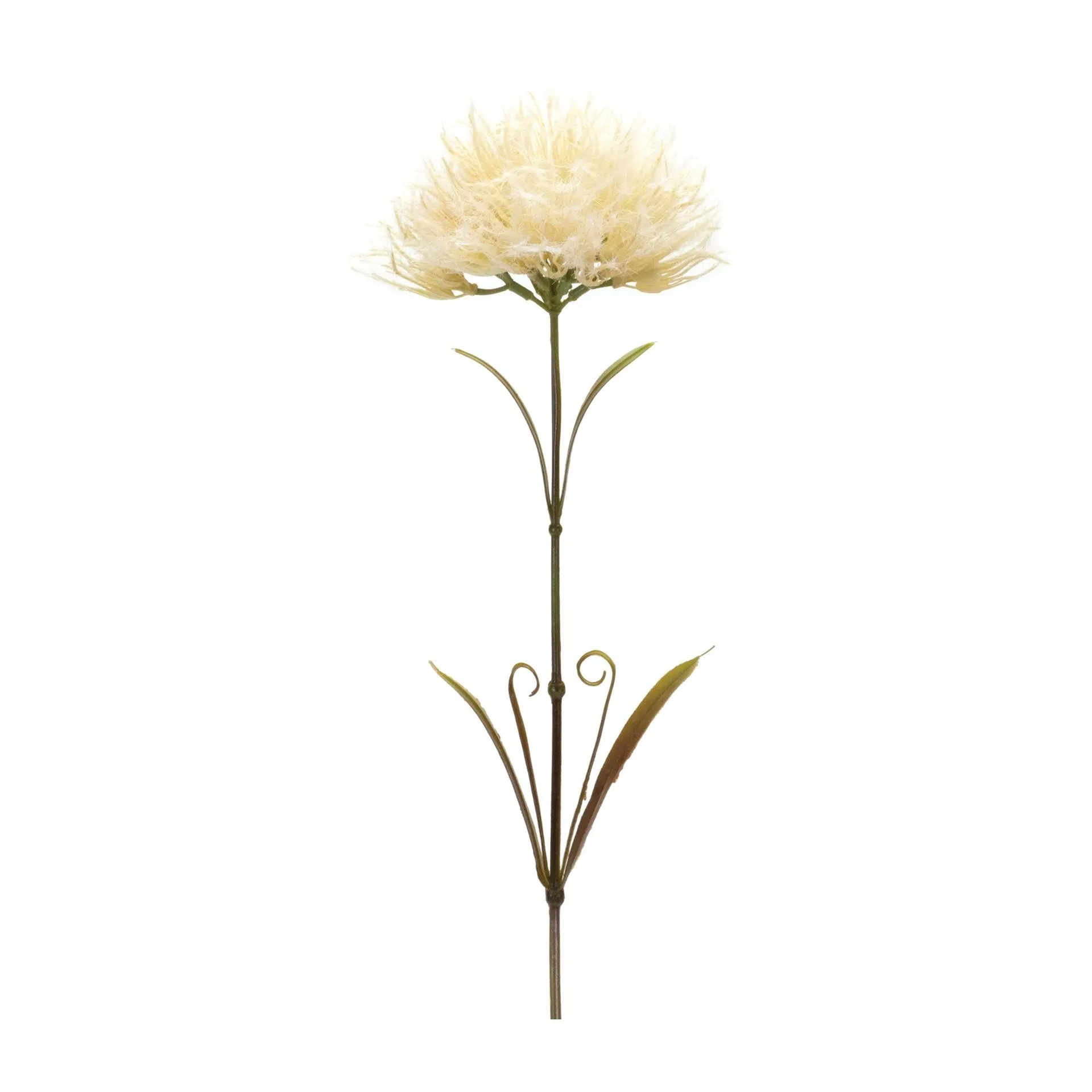 Ivory Puff Stems, Set of 6