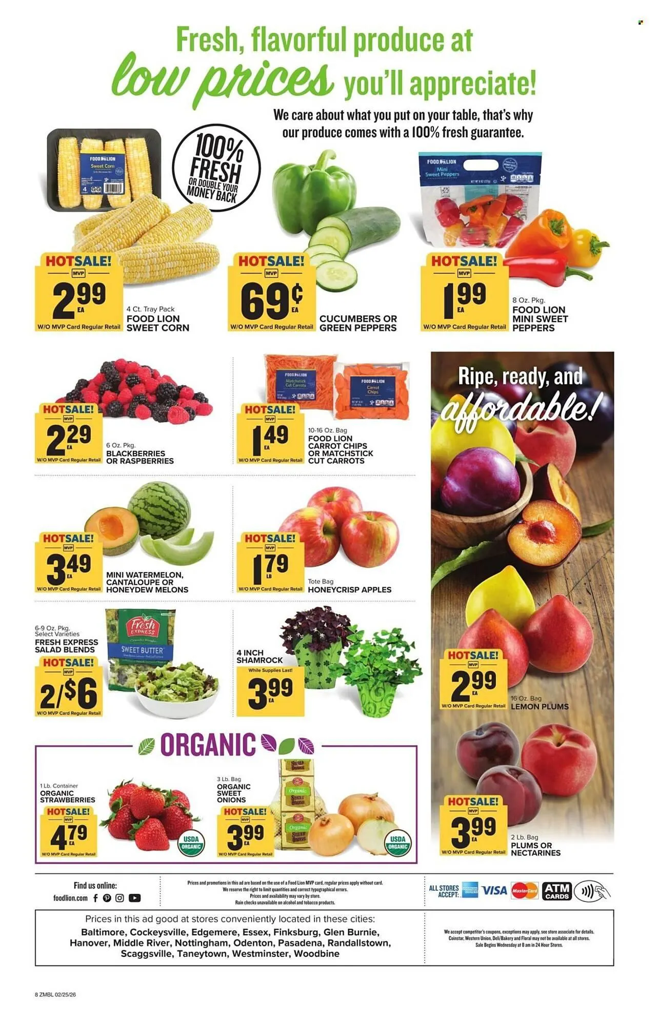 Weekly ad Food Lion weekly ad from February 25 to March 3 2026 - Page 2