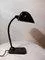 Mid-Century Modern Austrian Table Lamp with Enamel Shade, 1950s