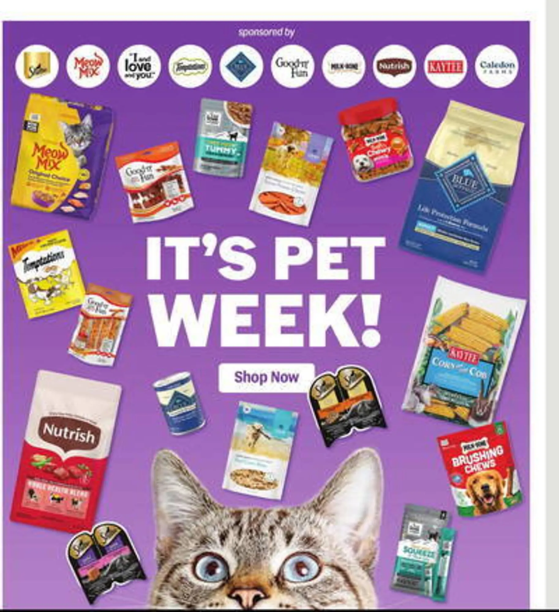 Weekly ad Meijer Weekly Ad from May 18 to May 24 2025 - Page 49