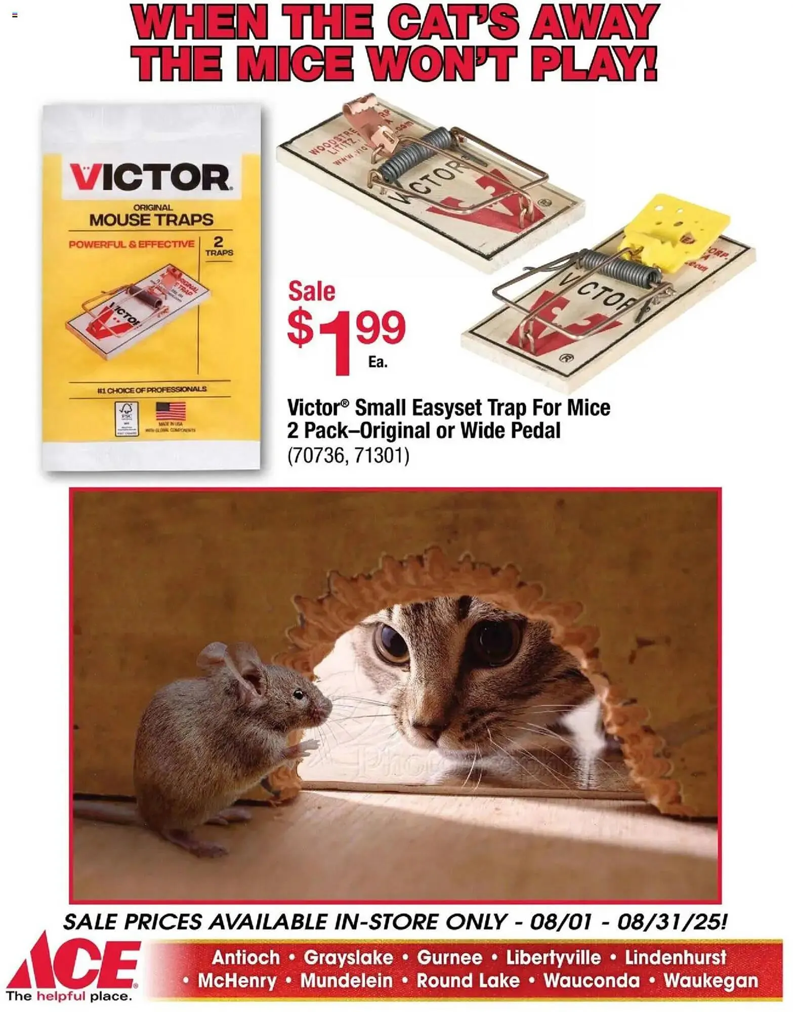 Weekly ad Ace Hardware Weekly Ad from August 1 to August 31 2025 - Page 17