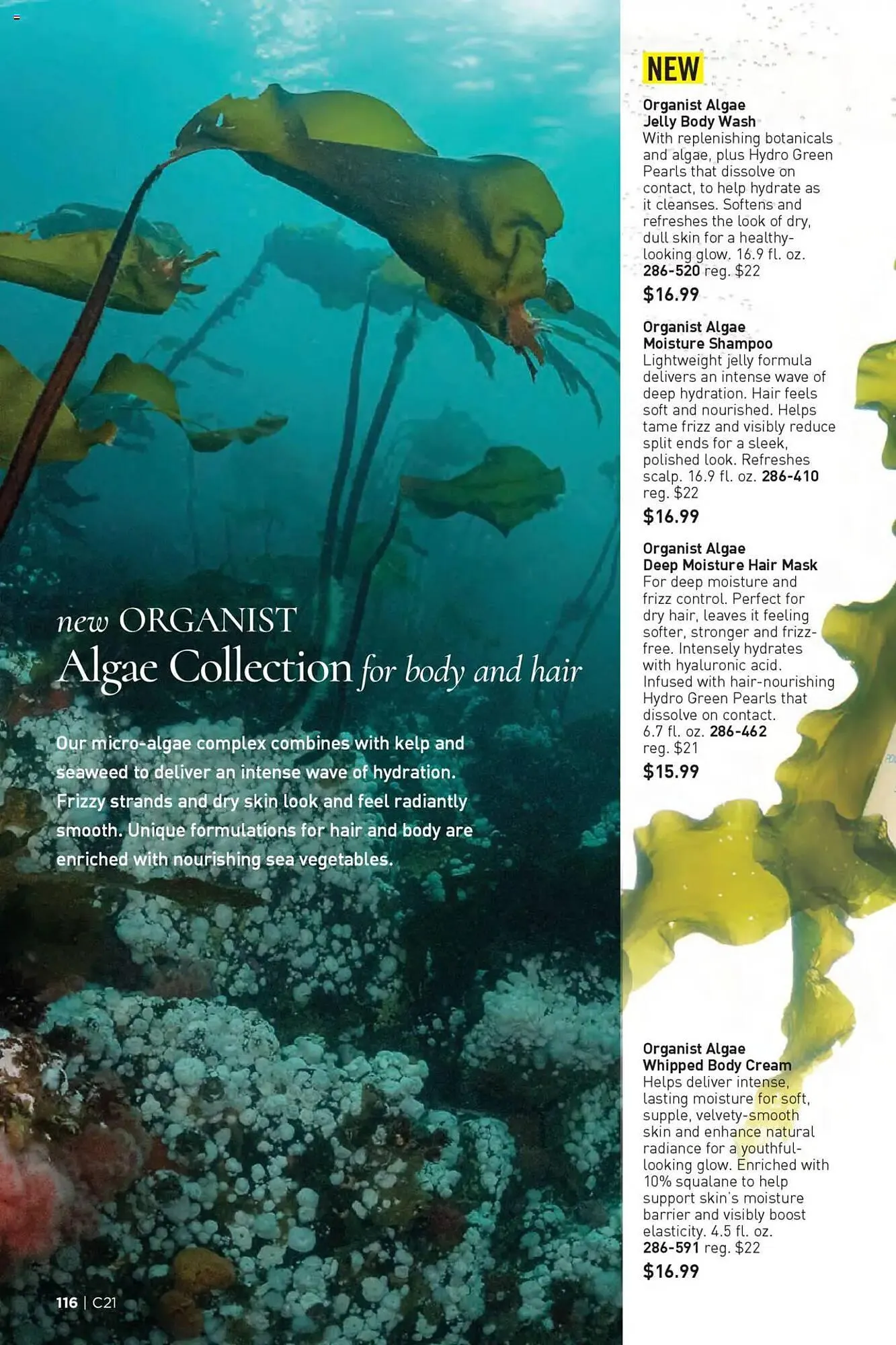 Weekly ad Avon weekly ad from October 8 to October 22 2025 - Page 116