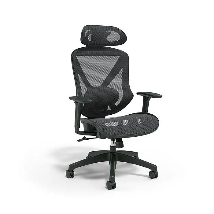 Staples® Dexley Ergonomic Mesh Swivel Task Chair,