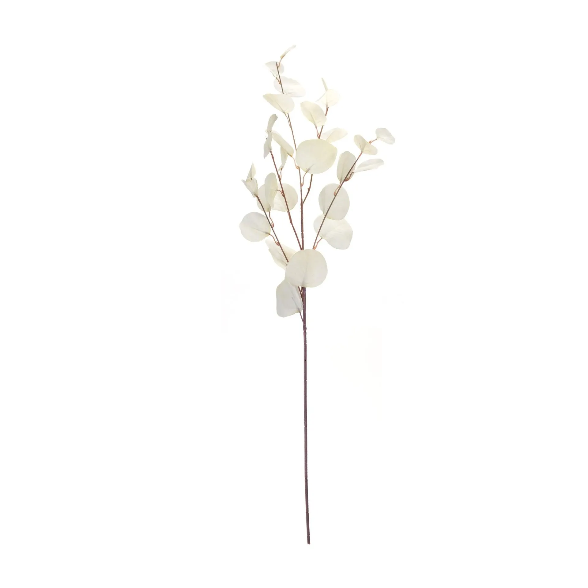 Ivory Silver Dollar Eucalyptus Leaf Spray, Set of 6