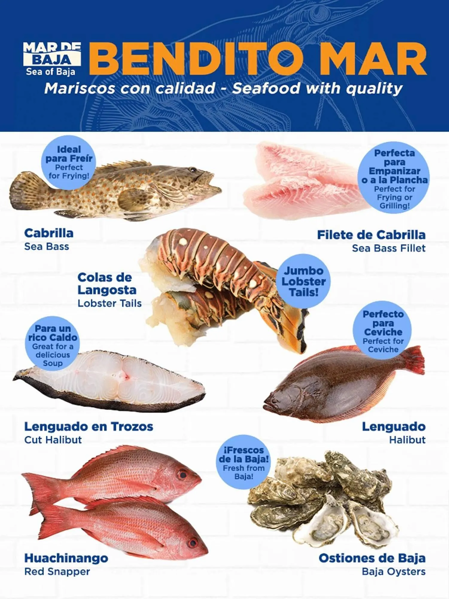 Weekly ad Northgate Market weekly ad from March 18 to March 31 2026 - Page 7