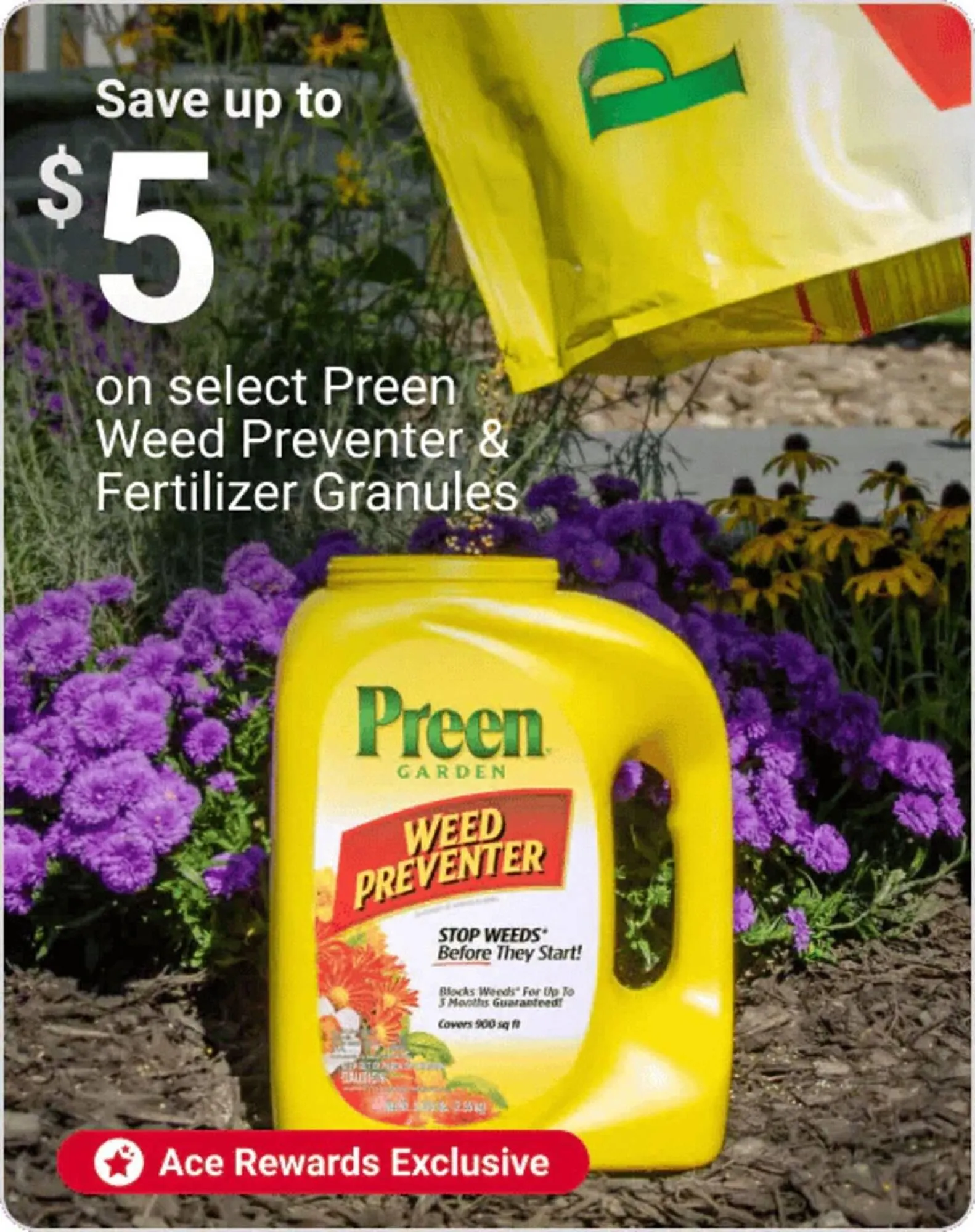 Weekly ad Ace Hardware flyer from March 3 to March 16 2026 - Page 2