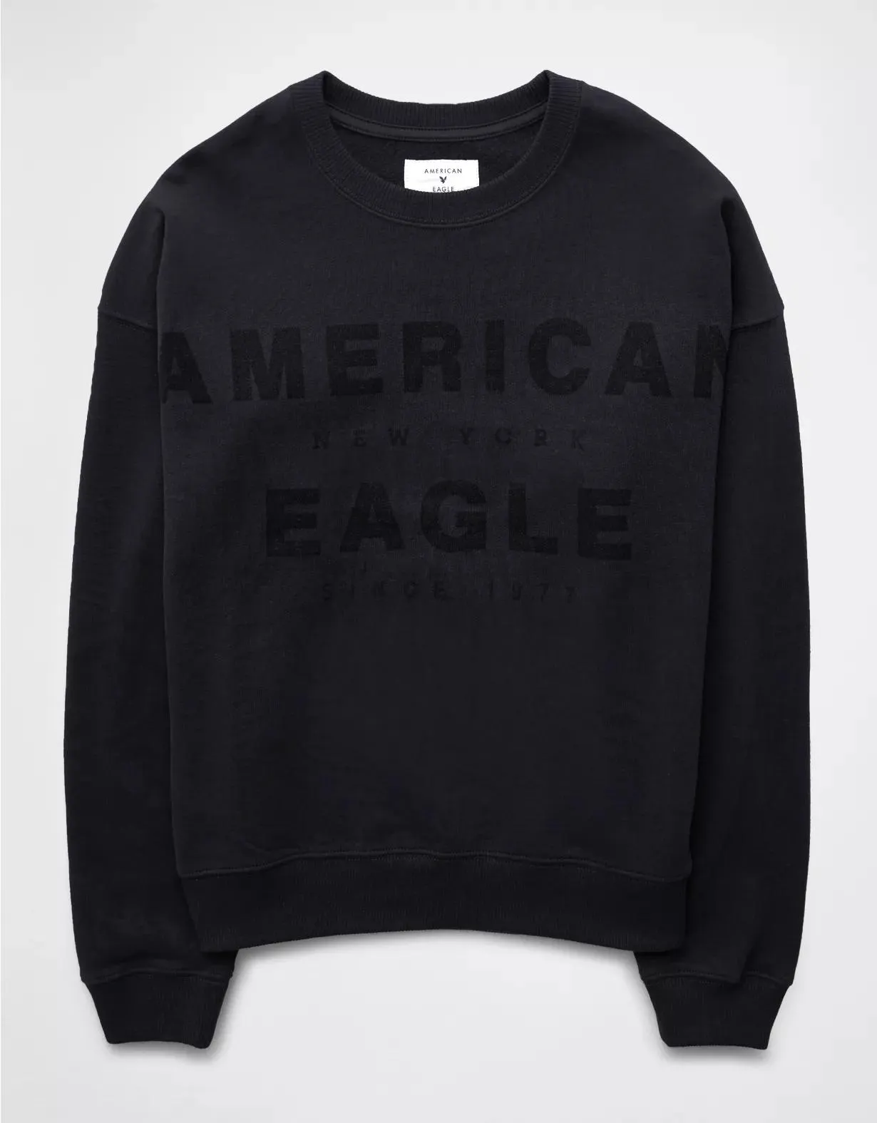 AE Funday Graphic Sweatshirt