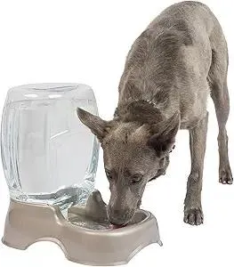 Petmate Pet Cafe Cat and Dog Water Dispenser - Water Bowl for Cats and Dogs, USA Made, 3 GAL, Pearl Tan