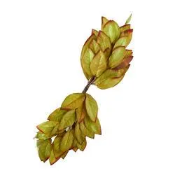 Light Green Leaf Swag - Seconds