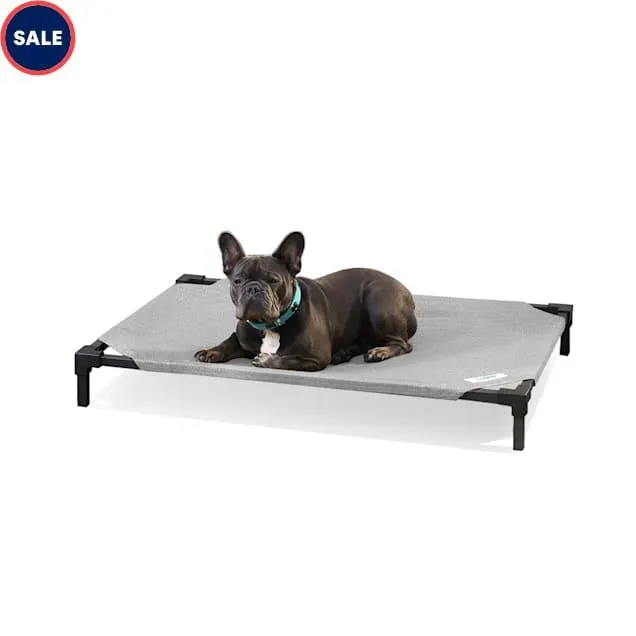 Coolaroo Elevated Pro Pet Beds, 41" L X 27.5" W X 6.3" H, Steel