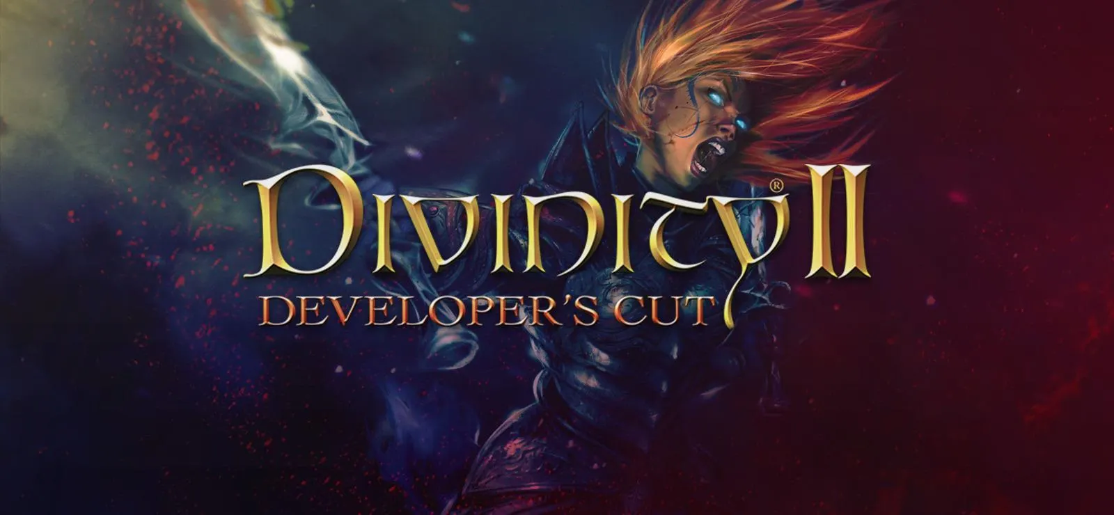 Divinity 2: Developer's Cut