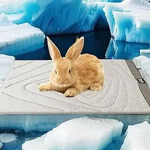 ZonLi Dog Cooling Mat, 20" x 16"Small, Waterproof Cooling Pad for Cats & Rabbits, Portable & Durable Pet Mat for Crate, Trunk, Camping, Outdoors, Machine Washable, Pebble Grey