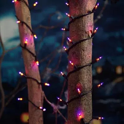 Member's Mark 100ct Dual Color Mini LED Lights, 22.3' Lighted Length