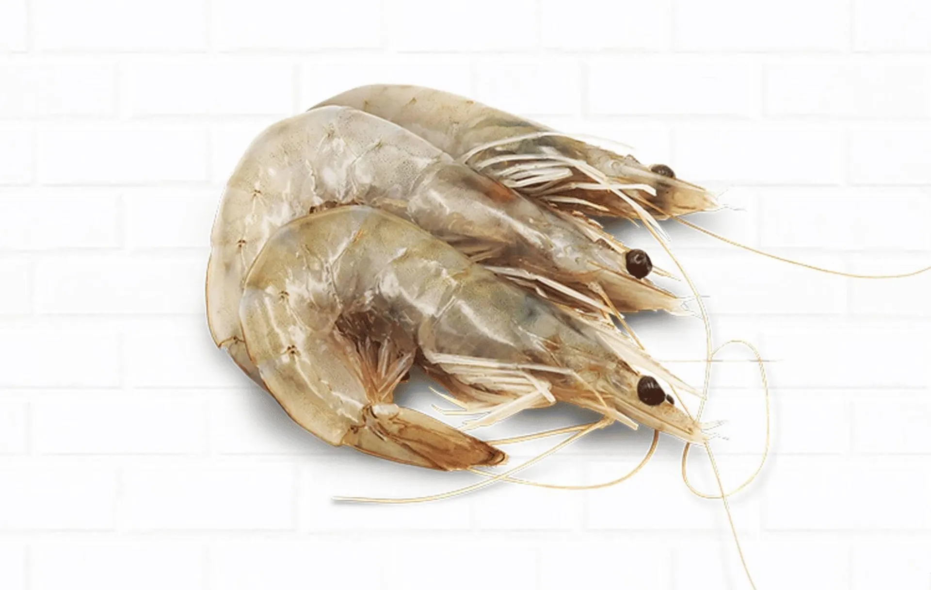 Weekly ad Northgate Market weekly ad from March 9 to March 17 2026 - Page 21