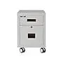 FireKing 2-Drawer Mobile Vertical File Cabinet,