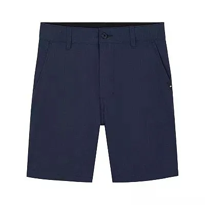 Boys 8-20 Quiksilver Amphibian Shorts