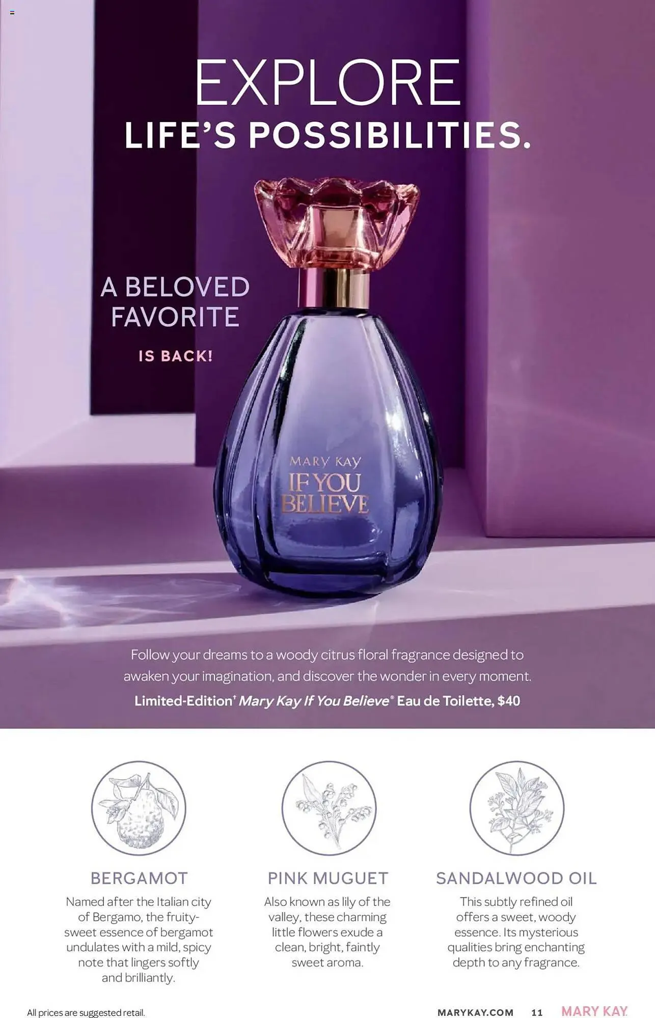 Weekly ad Mary Kay Weekly Ad from November 16 to February 17 2025 - Page 11