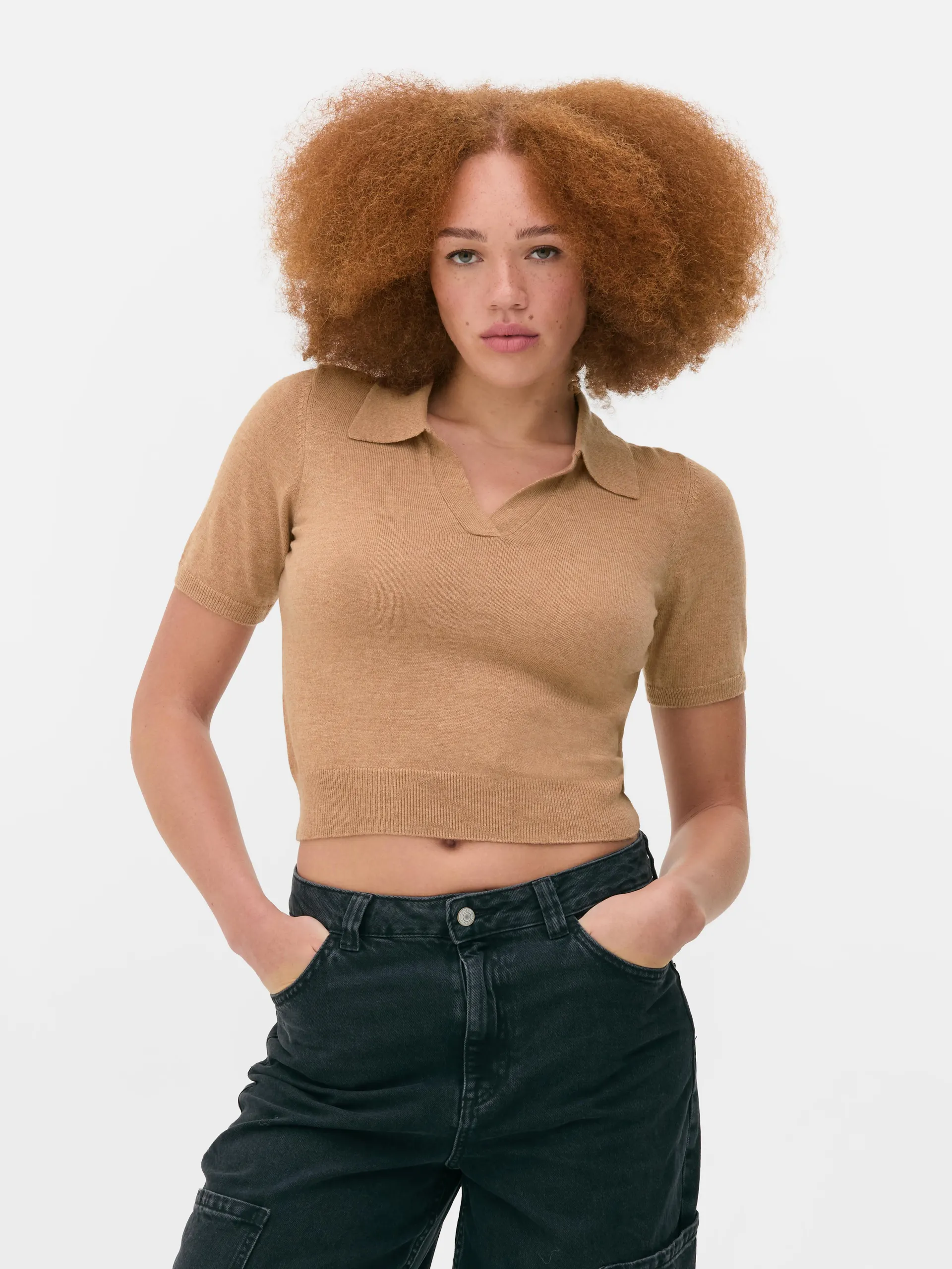 Fine Knit Collared Short Sleeve Top
