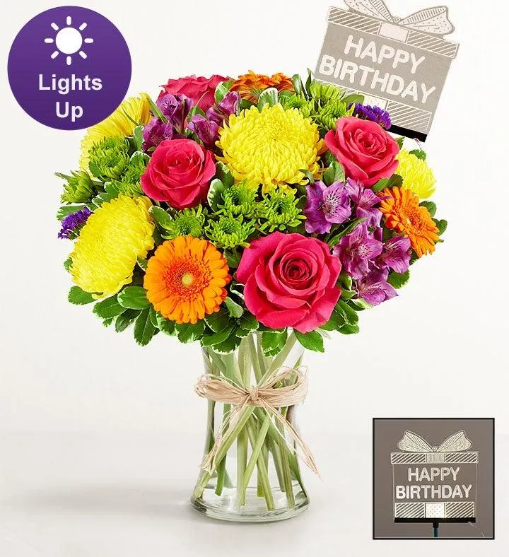 Fields of Europe® Celebration with Happy Birthday LED Pick