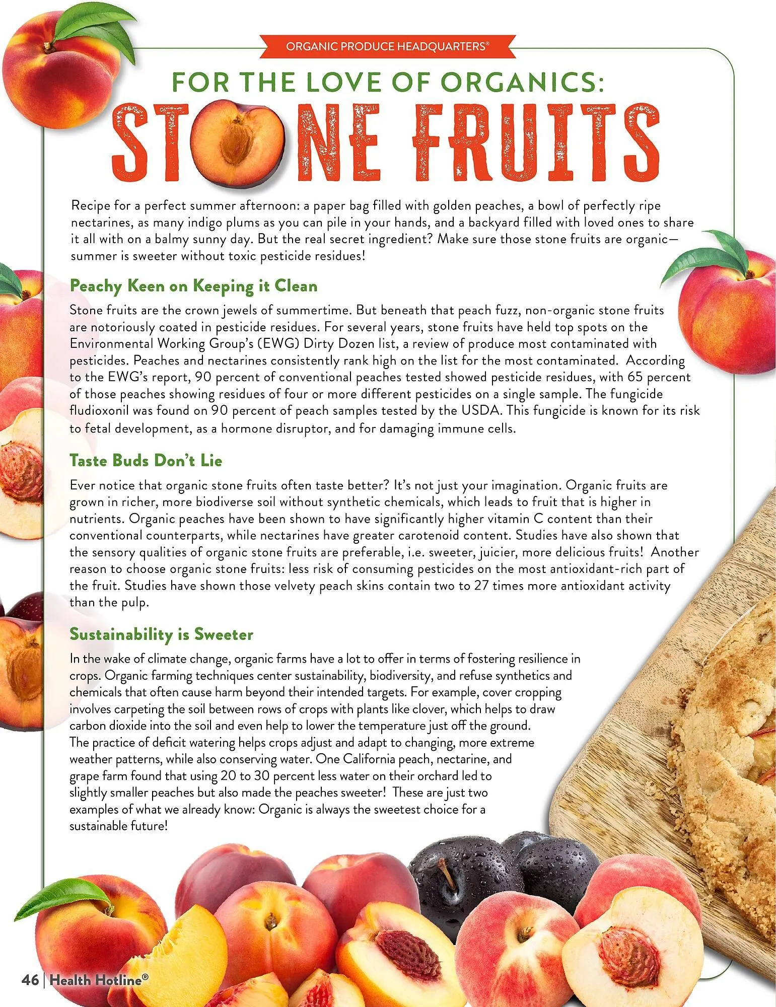 Weekly ad Natural Grocers ad from August 8 to September 6 2025 - Page 46