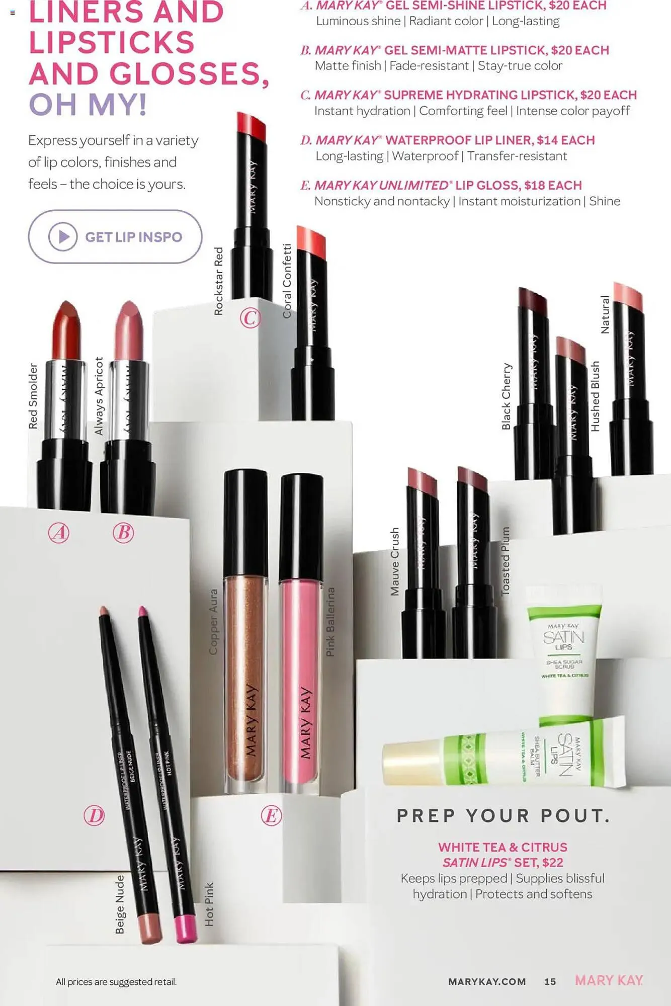 Weekly ad Mary Kay Weekly Ad from November 16 to February 17 2025 - Page 15