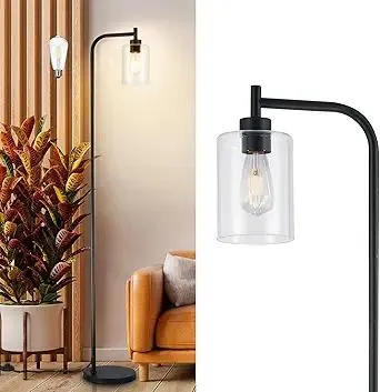 DLLT Floor Lamp Tall for Room: Black Standing Lamp with Clear Glass Lampshade for Living Room - Modern Bright Lamp for Bedroom - Industrial Corner Floor Lamps for Office 8W Led Bulb Included