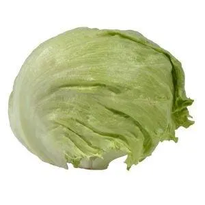 Iceberg Lettuce