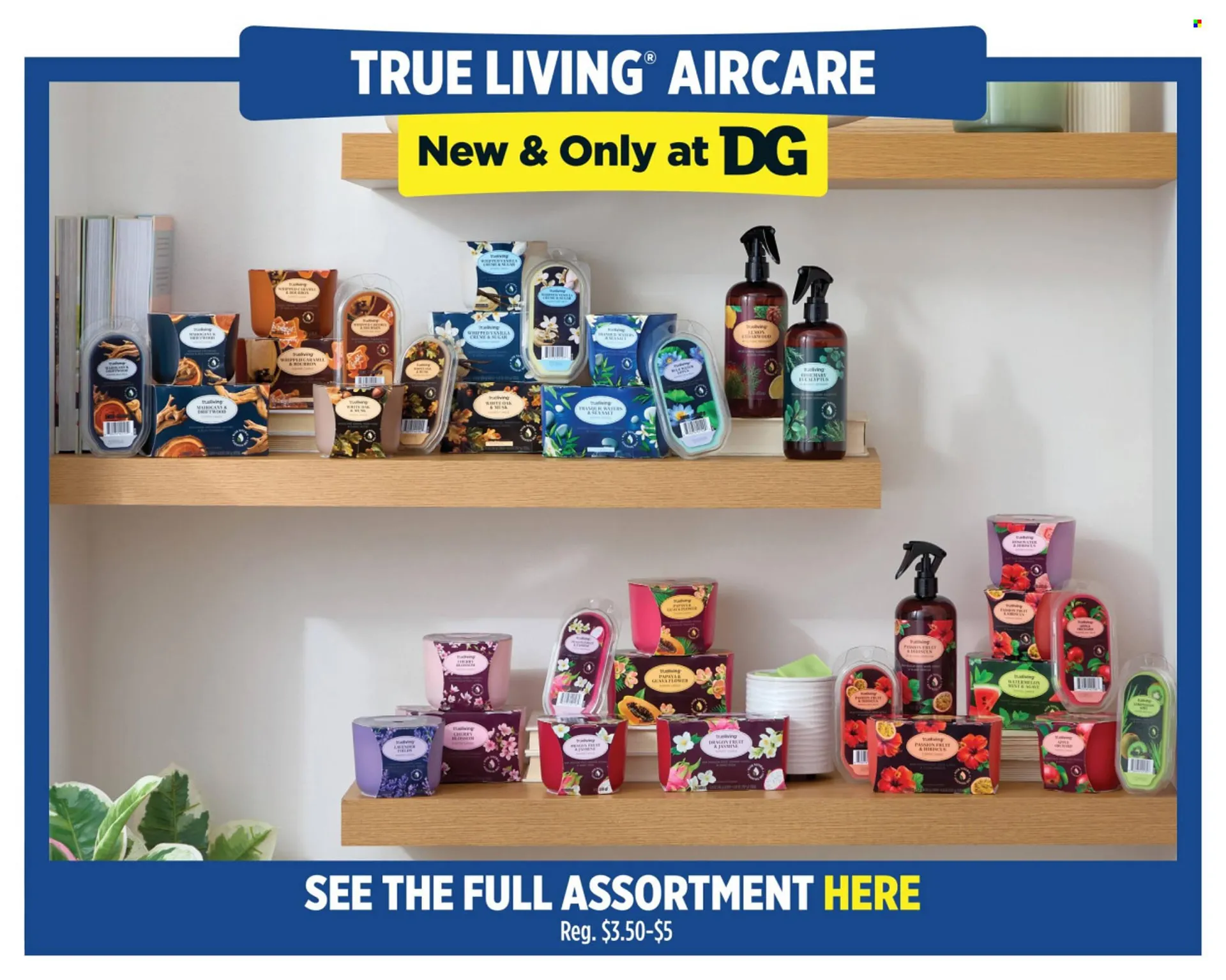 Weekly ad Dollar General weekly ad from March 15 to March 21 2026 - Page 9