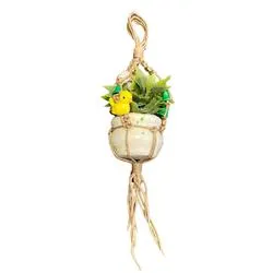 Mini Macrame Hanging Plant with Bird
