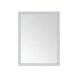 OVE Decors 24"W x 32"H Dove Gray Framed Mirror