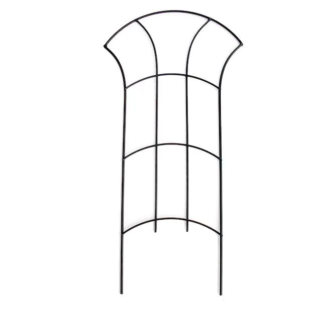 Style Selections 12-in W x 24-in H Black Steel Garden Trellis