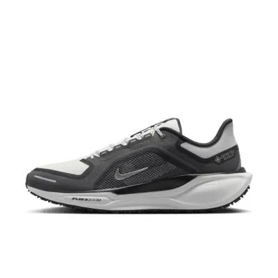 Nike Pegasus 41 GORE-TEX