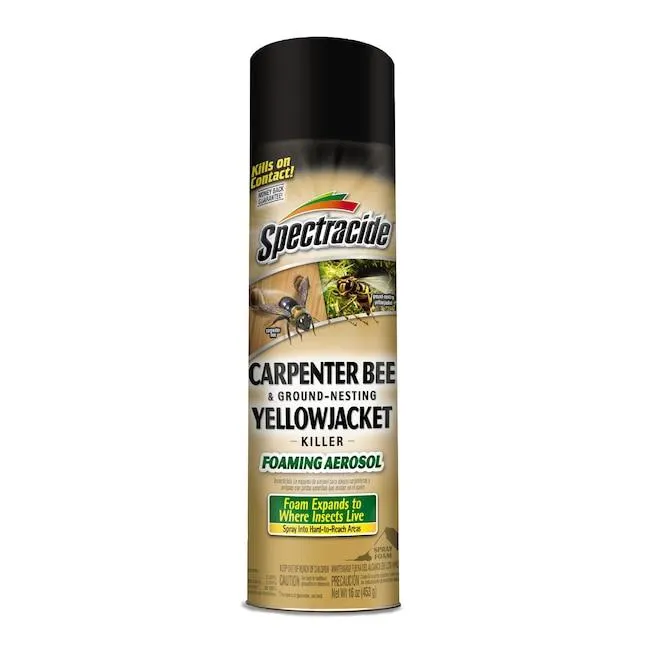 Spectracide Carpenter Bee and Yellow Jacket 16 -oz Aerosol Insect killer