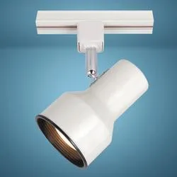 Quantus™ Step 1-Light White Track Lighting Head