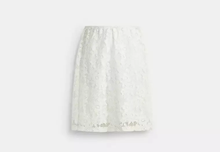 Lace Skirt