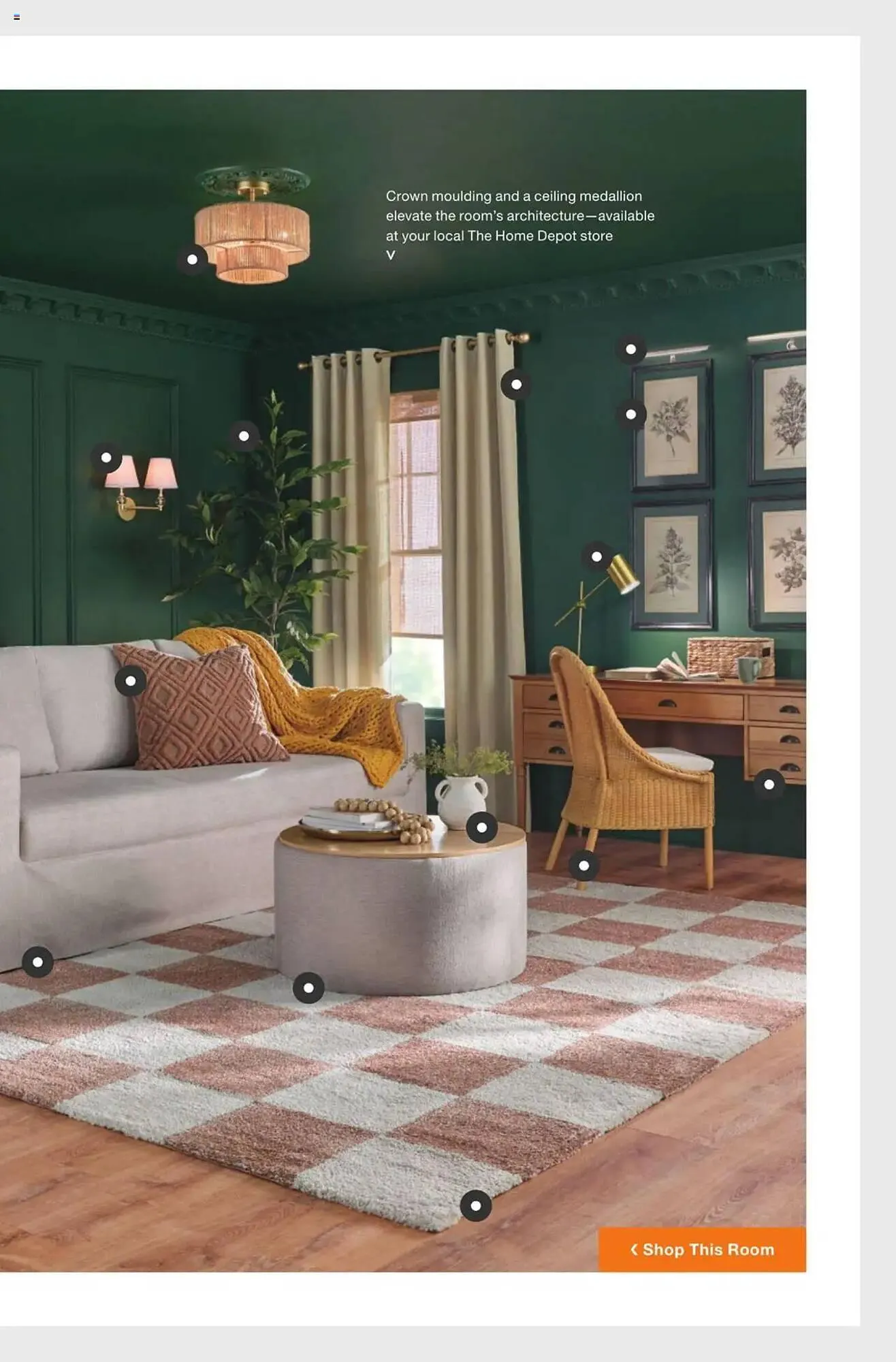 Weekly ad The Home Depot Weekly Ad from February 10 to March 23 2025 - Page 21