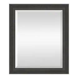 Vista™ 23"W x 29"H Bronze Framed Mirror