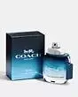 Coach Blue Eau De Toilette 40 Ml