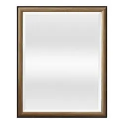 Vista™ 23"W x 29"H Black Wood Framed Mirror