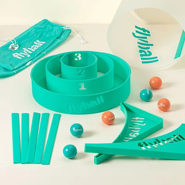 Flyball Lawn and Beach Game