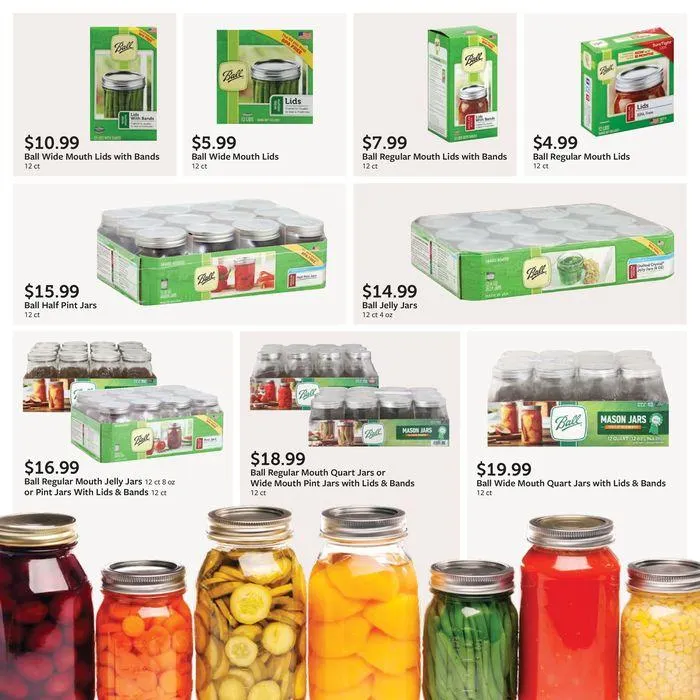 Weekly ad Attractive special offers for everyone from September 18 to October 2 2024 - Page 30