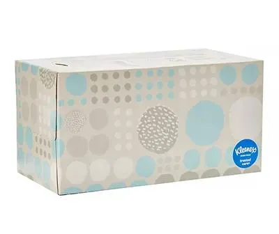 Trusted Care Facial Tissues Flat Box, 200-Count