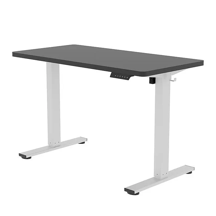 FlexiSpot E2 48''W Electric Adjustable Standing Desk,