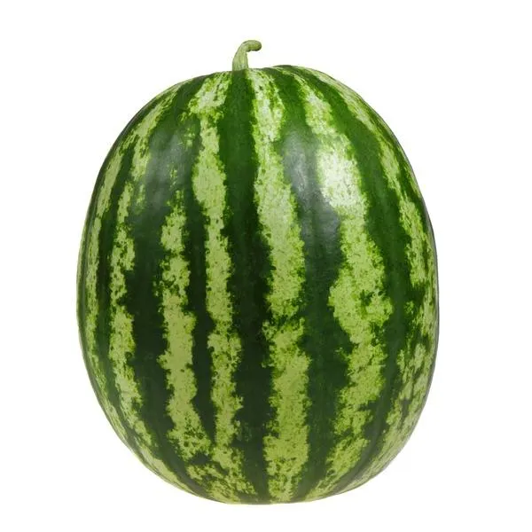Seedless Watermelon