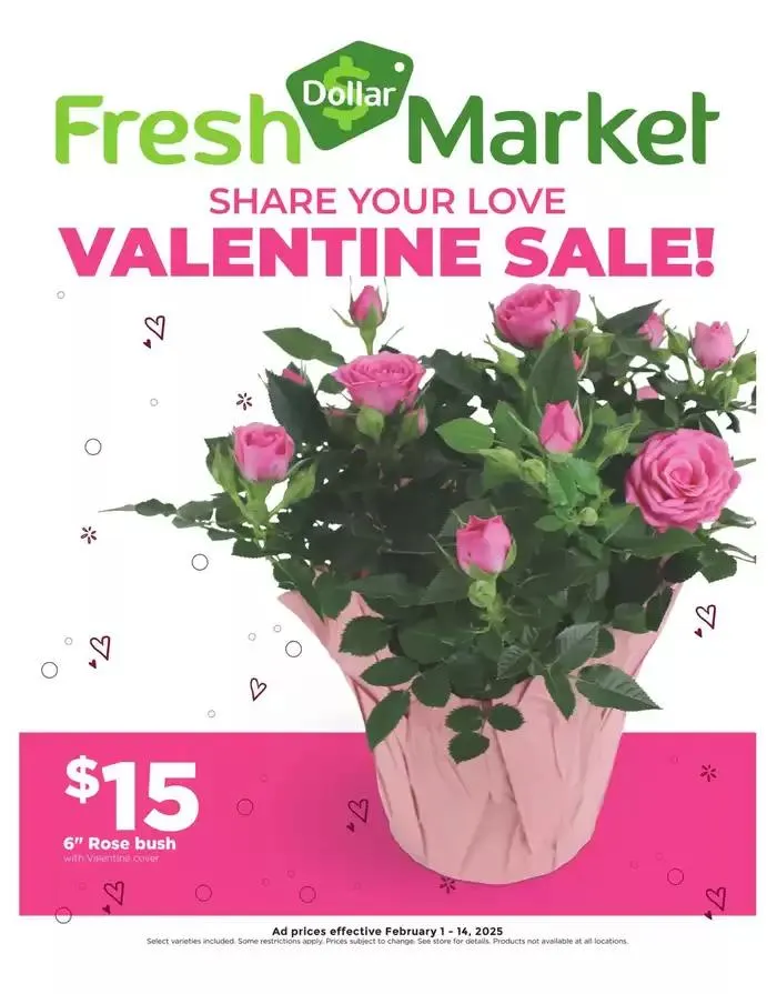 Weekly ad Great discounts on selected products from February 1 to February 14 2025 - Page 1