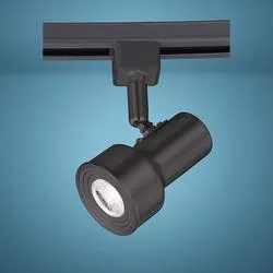 Patriot Lighting® Step 1-Light Black LED Track Lighting Head