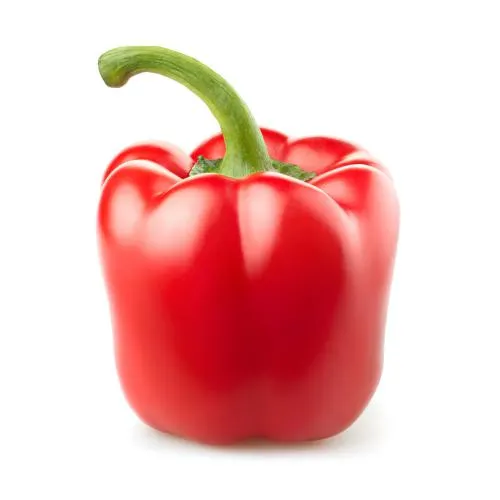 Red Bell Pepper