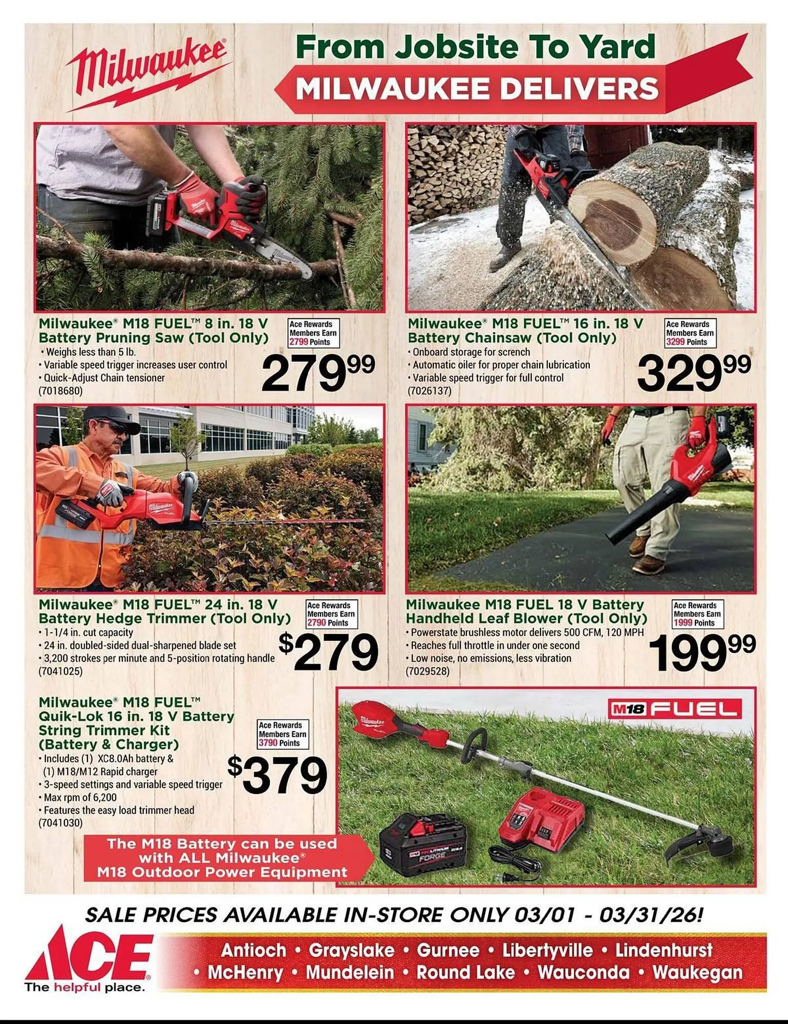 Weekly ad Ace Hardware flyer from March 1 to March 31 2026 - Page 12