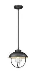 Z-Lite Ansel Black 1 Light Outdoor Pendant